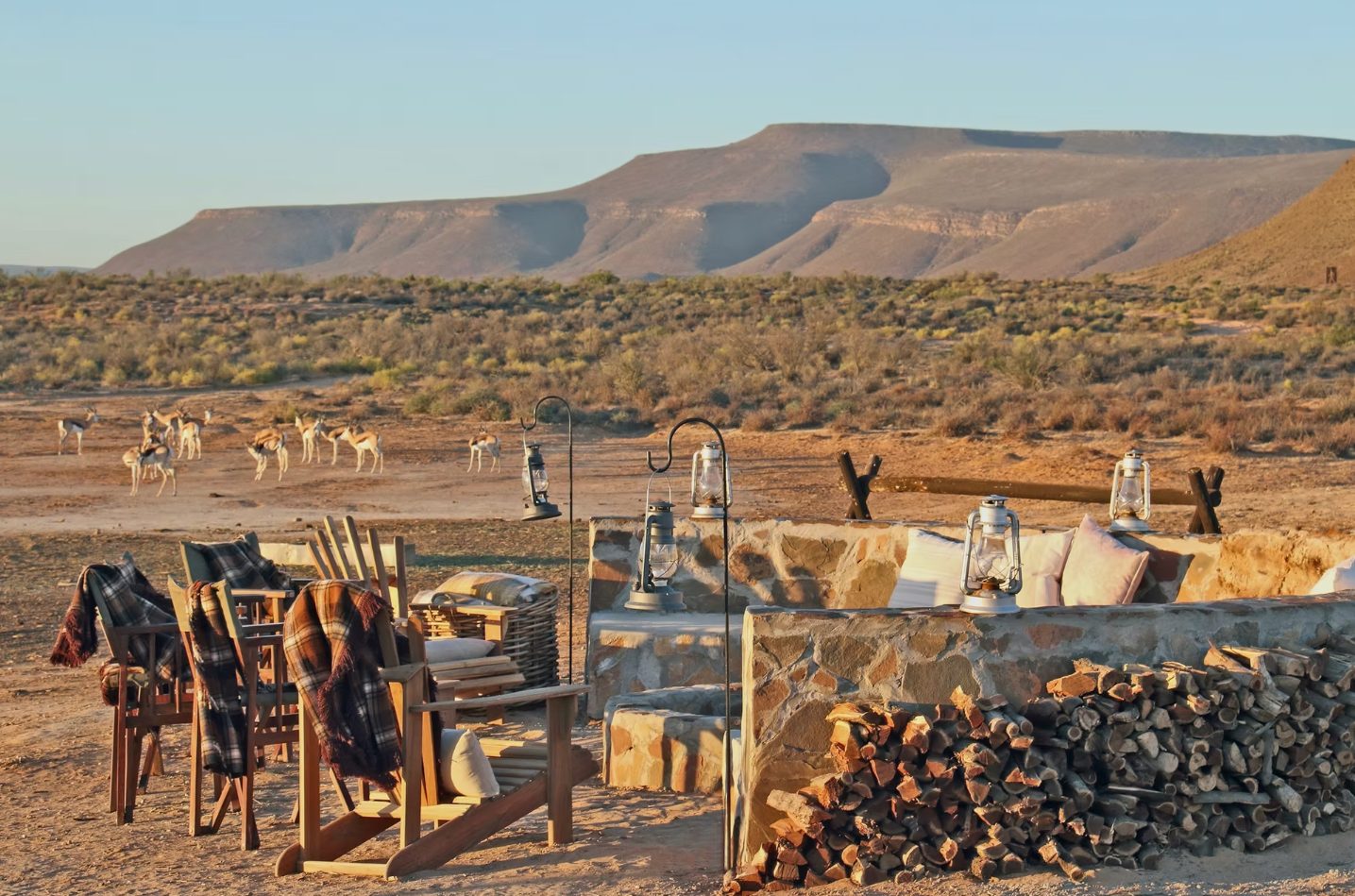 Springbok grazing on the pan at Doringbos, seen from the boma at sunset
